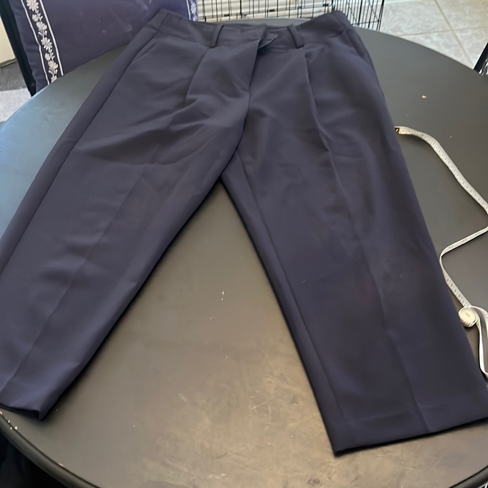 Ann Taylor navy pants.